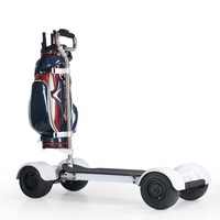 Angelol New Hot Items foldable Aluminum Alloy White 2 Speed Durable Electric Golf Scooter For Sale